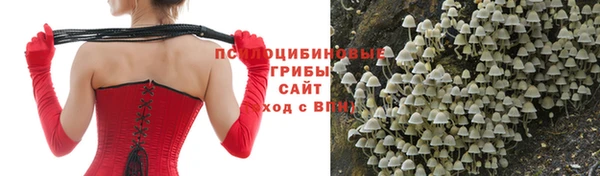 молекула духа Вязники