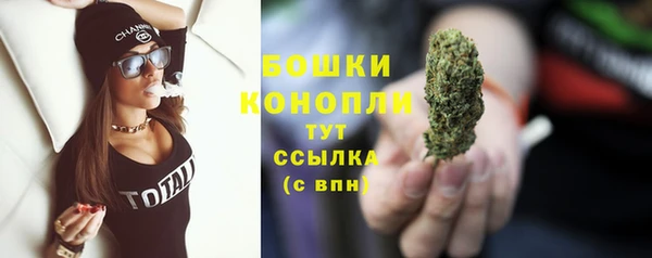 spice Вязьма