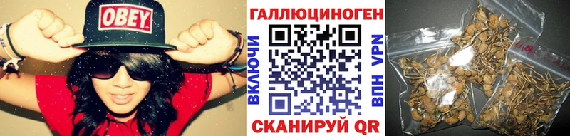 купить наркоту  Лукоянов  Псилоцибиновые грибы прущие грибы 